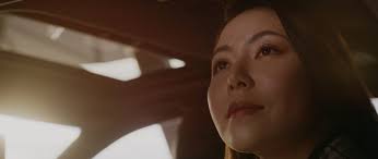 The Local Project . Bunkerin . James Stockwell Architect