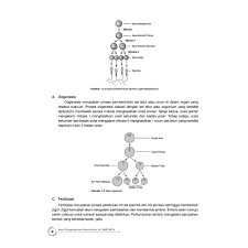 Rencana pelaksanaan pembelajaran (rpp) adalah rencana kegiatan pembelajaran tatap muka untuk satu pertemuan atau lebih. Buku Pendamping Ipa Smp Kelas 9 Lks Incer Shopee Indonesia