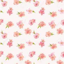 Vintage roses shabby chic background stock illustration. Spring Blossom Flowers Background Seamless Floral Shabby Chic Royalty Free Cliparts Vectors And Stock Illustration Image 37456179