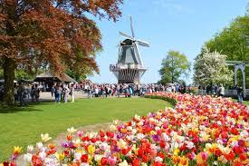 View the latest in netherlands, soccer team news here. ç‚ºä»€éº¼è·è˜­çš„è¾²æ¥­ç‰¹è‰²å°éŽ®é€™éº¼æœ‰è²æœ‰è‰² å°æ±ä¸€ç«™å¼
