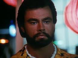 The Beach Boy (1985)