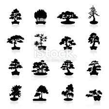 Bonsai tree plant flower pot canvas print barewalls posters prints bwc5675921. Illustration Representing Different Bonsai Trees Bonsai Tree Tattoos Bonsai Tree Bonsai Tattoo