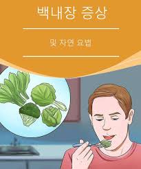 백내장 증상 및 자연 요법 건강을 위한 발걸음 자연요법 자연 치료법