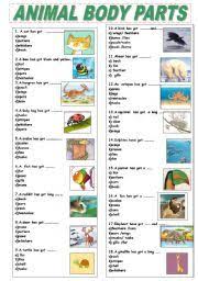 Esl printable body parts vocabulary worksheets, picture dictionaries, matching exercises, word search and crossword puzzles, missing letters in a fun esl printable matching exercise worksheet for kids to study and practise body parts vocabulary. Pin On Lekcje