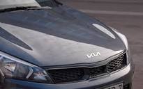 12 Interesting Facts About Kia Motors | Burlington Kia