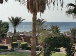 1455 pennsylvania avenue, northwest suite 100. Swiss Inn Resort Ab 77 1 4 3 Bewertungen Fotos Preisvergleich Dahab Agypten Tripadvisor