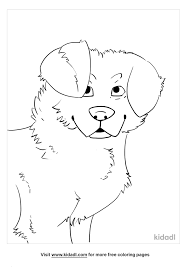 The first gene pair controls which colour an aussie will be and. Australian Shepherd Coloring Pages Free Animals Coloring Pages Kidadl