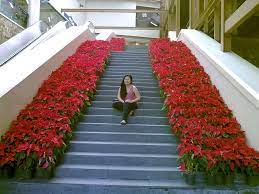 This Is How Greenbelt Mall In Makati City In Philippines Decorates Its Stairs Lovely Right Makati City Philippines Travel Greenbelt Mall