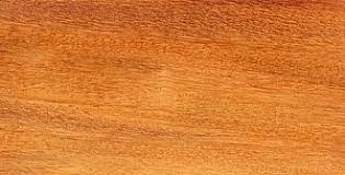 Image result for Afzelia