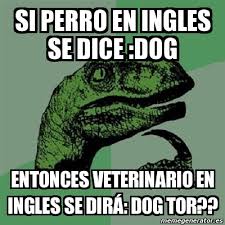 Veterinaria es un término alternativo para veterinario. Meme Filosoraptor Si Perro En Ingles Se Dice Dog Entonces Veterinario En Ingles Se Dira Dog Tor 6577257