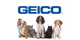Download transparent geico logo png for free on pngkey.com. New Geico Pet Insurance Review 365 Pet Insurance