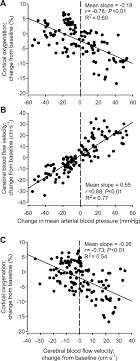 Blood pressure (bp) is a useful measurement to help assess the cardiovascular status of a patient during an anaesthetic, or as a diagnostic test for an underlying cause of ocular changes in cats as a result of systemic high blood pressure. Influence Of Changes In Blood Pressure On Cerebral Perfusion And Oxygenation Hypertension