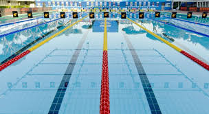 Championnat d'europe en direct : Natation Rome Choisie Pour Les Championnats D Europe 2022 Sport Business Mag