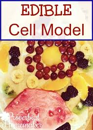 We did not find results for: Edible Cell Model Our Cell Science Unit Proverbial Homemaker