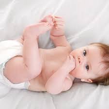 Causas De La Dermatitis Del Panal Hipoglos
