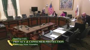 Assembly Standing Committee on Privacy and Consumer Protection Video
