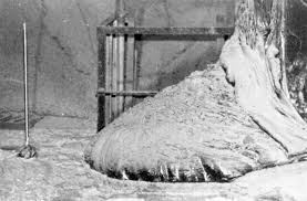 Find over 100+ of the best free chernobyl images. Nuclear Near Miss Draining The Chernobyl Reactor Recoil Offgrid