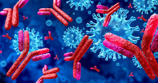 Image result for Immunity