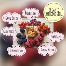 Pernahkah anda dengar tentang anemia semasa hamil? Resipi Air Rebusan 6 Bahan Meriahkan Susu Badan Hebatnya Cara Ni Pa Ma