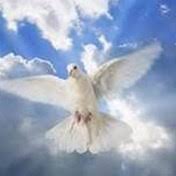 Search Pamela Fields Obituaries and Funeral Services