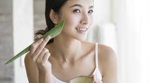Lesen sie, wie sie einen gesichtsmaske selber machen. Schone Und Leichte Rezepte Wie Sie Aloe Vera Gel Selber Machen