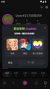 CrushieAI聊天安卓版下载-CrushieAI聊天安装包下载v1.9.3-图小白