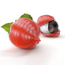 Le Guarana Est Riche En Cafeine Egalement Appelee Guaranine Vitamine B4 Composes Phenoliques Et Matieres Minerales Guarana