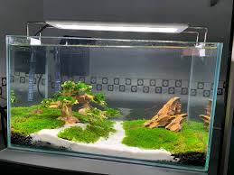 Hồ 35x20x20 để... - Hồ cá mini để bàn - Bể cá thủy sinh TPHCM | Facebook