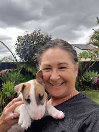 Walking three bull terriers alone