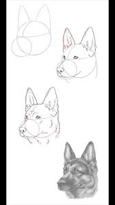 Pin On Dibujos
