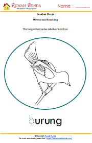 Lembaran kerja ini membantu kamu untuk tetap seimbang supaya kamu dapat melakukan tugas kamu dan juga dapat berekreasi. Worksheet Mewarnai Binatang Burung Rumah Bunda