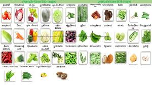 Vegetable Names In Tamil With Pictures Name Of Vegetables Vegetables List Of Vegetables