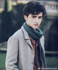 Pin By Lieske On Harry Potter Ocs Timothee Chalamet Timmy T Laurie
