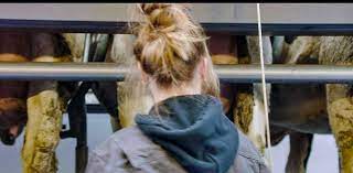 Dit zijn alle boeren van boer zoekt vrouw 2019. Dit Zijn De Onherkenbare Boeren Van Het Nieuwe Seizoen Boer Het Belang Van Limburg Mobile