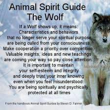 Your Guiding Animal Spirit For The Week Of May 9th Wolf Spirit Animal Spirit Guides Wolf Spirit Animal