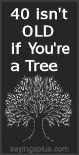 Happy 40th birthday wishes and funny poems. 40th Birthday Jokes Quotes Quotesgram