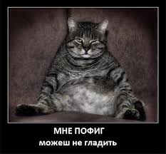 images?q=tbn:ANd9GcSNQt1irFx9uEghKqgkC7sF1H-iaIkgOu-Olq8VVpRLx5YW91o4lA