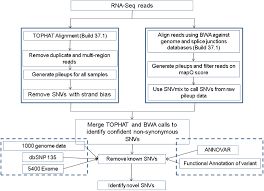 Figure 2 From An Integrated Model Of The Transcriptome Of