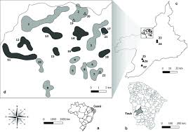 Maybe you would like to learn more about one of these? Microsatellite Variation Revealed Panmictic Pattern For Triatoma Brasiliensis Triatominae Reduviidae In Rural Northeastern Brazil The Control Measures Implications Bmc Genomic Data Full Text