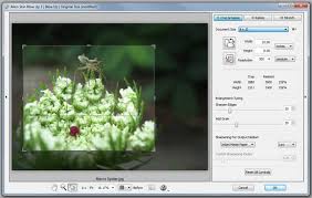 We did not find results for: 2021 Best Lightroom Plugins For Easier Workflow Gotoandlearn