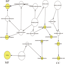 Ovarian cancer has a teal color that looks very similar to the light blue for prostate cancer, kirk said. Prospective Pathway Signaling And Prognostic Values Of Microrna 9 In Ovarian Cancer Based On Gene Expression Omnibus Geo A Bioinformatics Analysis Springerlink
