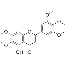 Image result for Millettia usaramensis