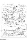 Free coloring sheets to print and download. Coloring Page Musk Ox Free Printable Coloring Pages Img 9680