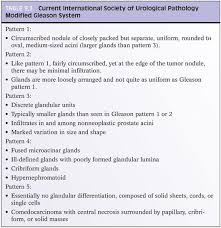 Image result for Prostate Cancer Histologic grading