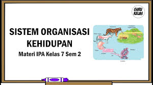 Materi ipa kelas 7 smp/mts kurikulum 2013 (k13) edisi revisi 2016 terbagi dalam 12 (dua belas) bab dengan rincian sebagai berikut. Sistem Organisasi Kehidupan Pelajaran Ipa Kelas 7 Semester 2 Kurikulum 2013 Youtube