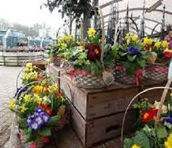 Chessington Garden Centre Plants Garden Furniture Restaurant Garden Center Beautiful Outdoor Spaces Garden Design