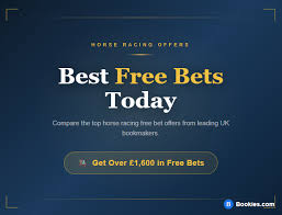 Image result for Handic 1600