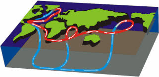 Estudiando La Tierra La Cinta Transportadora Oceanica