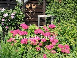 Blumenbeet Anlegen Traum Ideen Fur Ihr Gartenparadies In 2020 Blumenbeet Anlegen Blumenbeet Garten