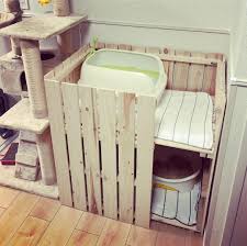 misaki hashimoto on instagram レオナの力作 すのこで作った猫トイレカバー 想像以上にいい感じ ちなみにうちの猫 2匹中1匹は砂ではなくシートで用を足します 猫 ロシアンブルー 猫トイレ 猫トイレカバー 猫トイレ隠し 猫 トイレ 玄関収納アイデア